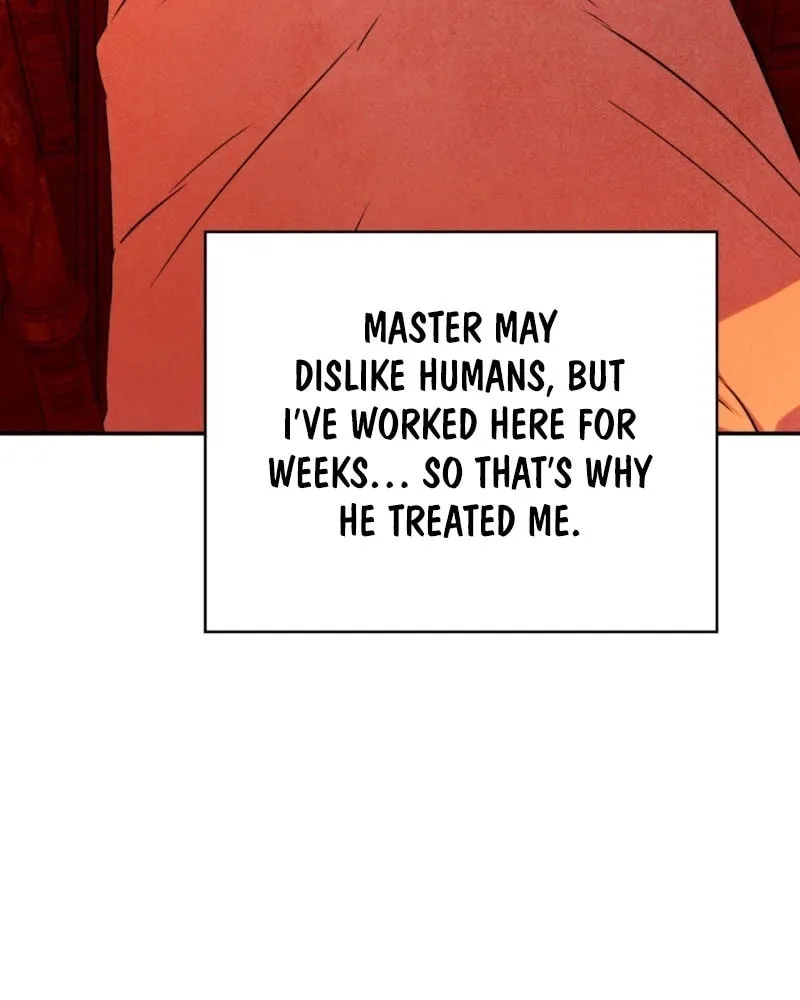 My Master Doesn