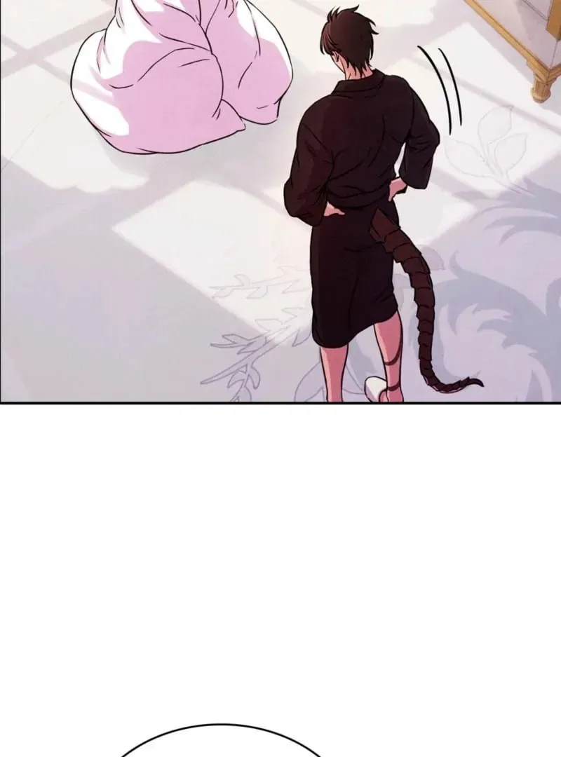 My Master Doesn