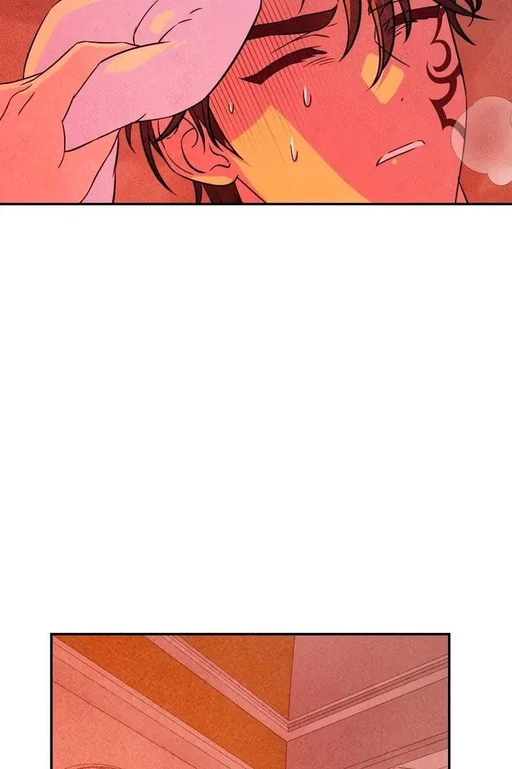 My Master Doesn