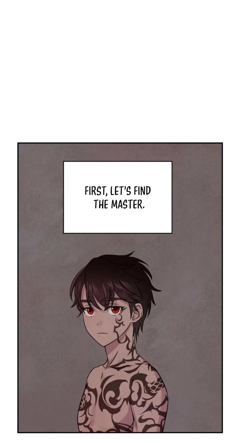 My Master Doesn