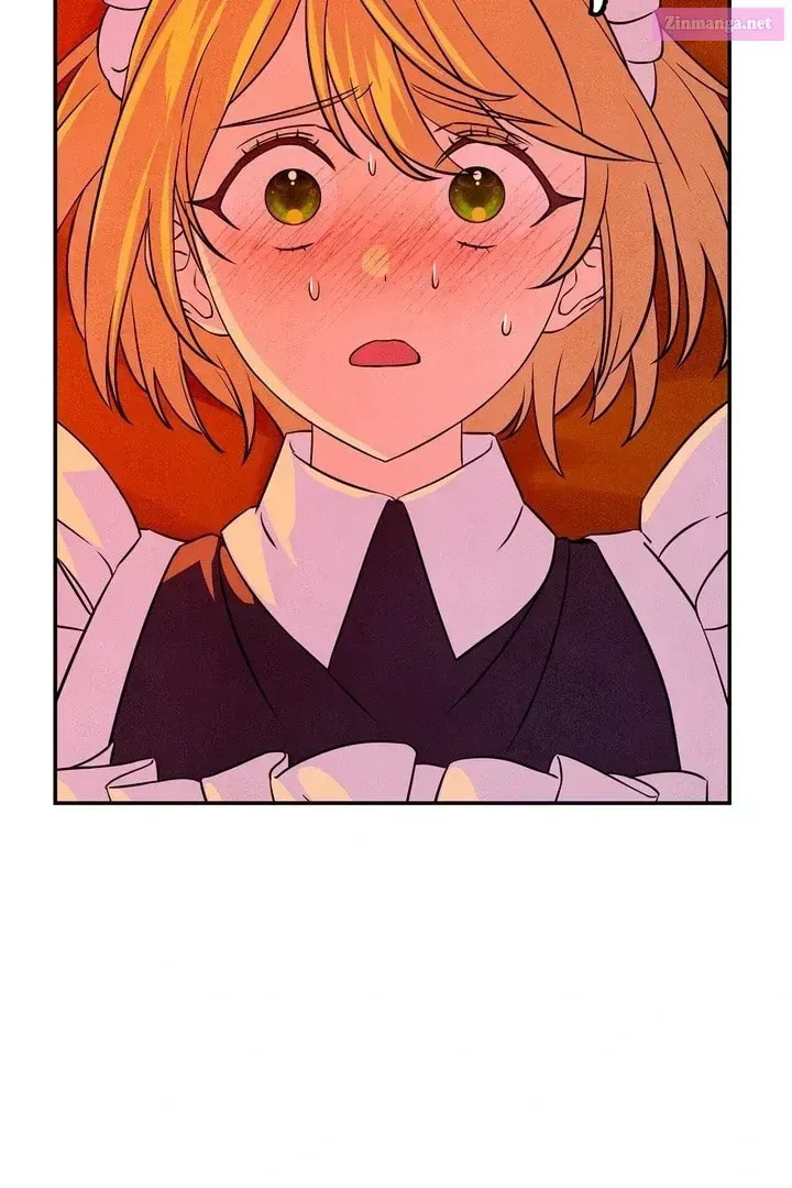 My Master Doesn