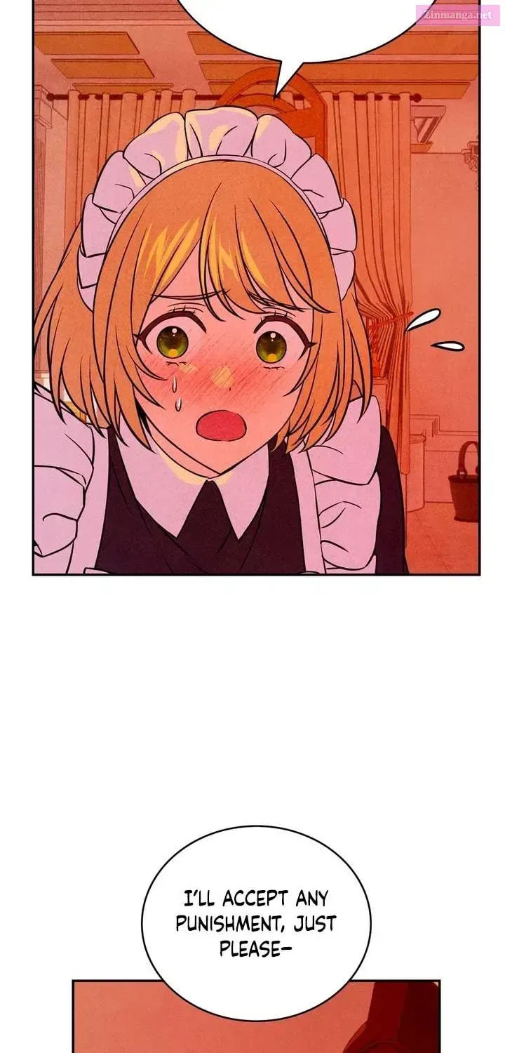 My Master Doesn