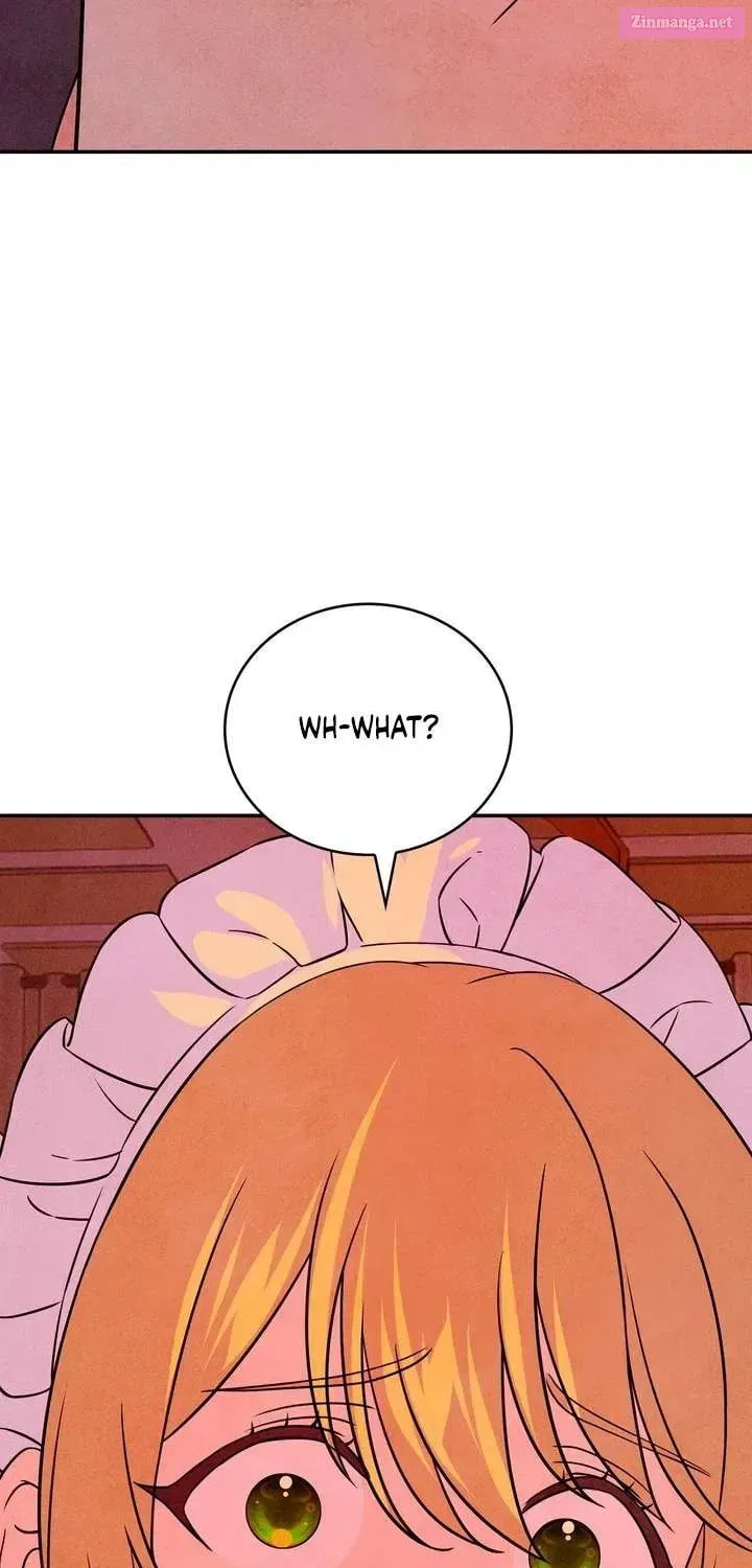 My Master Doesn