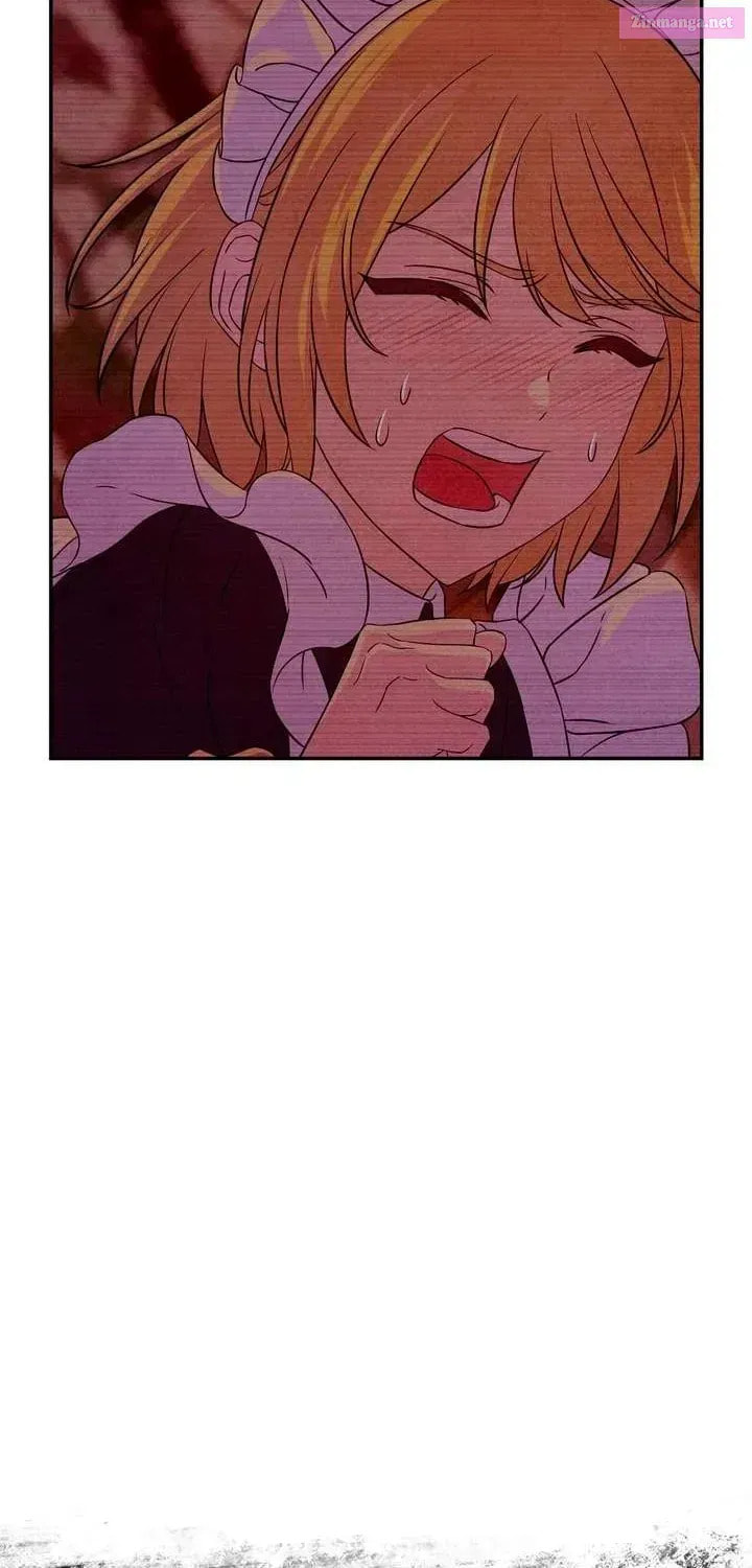 My Master Doesn