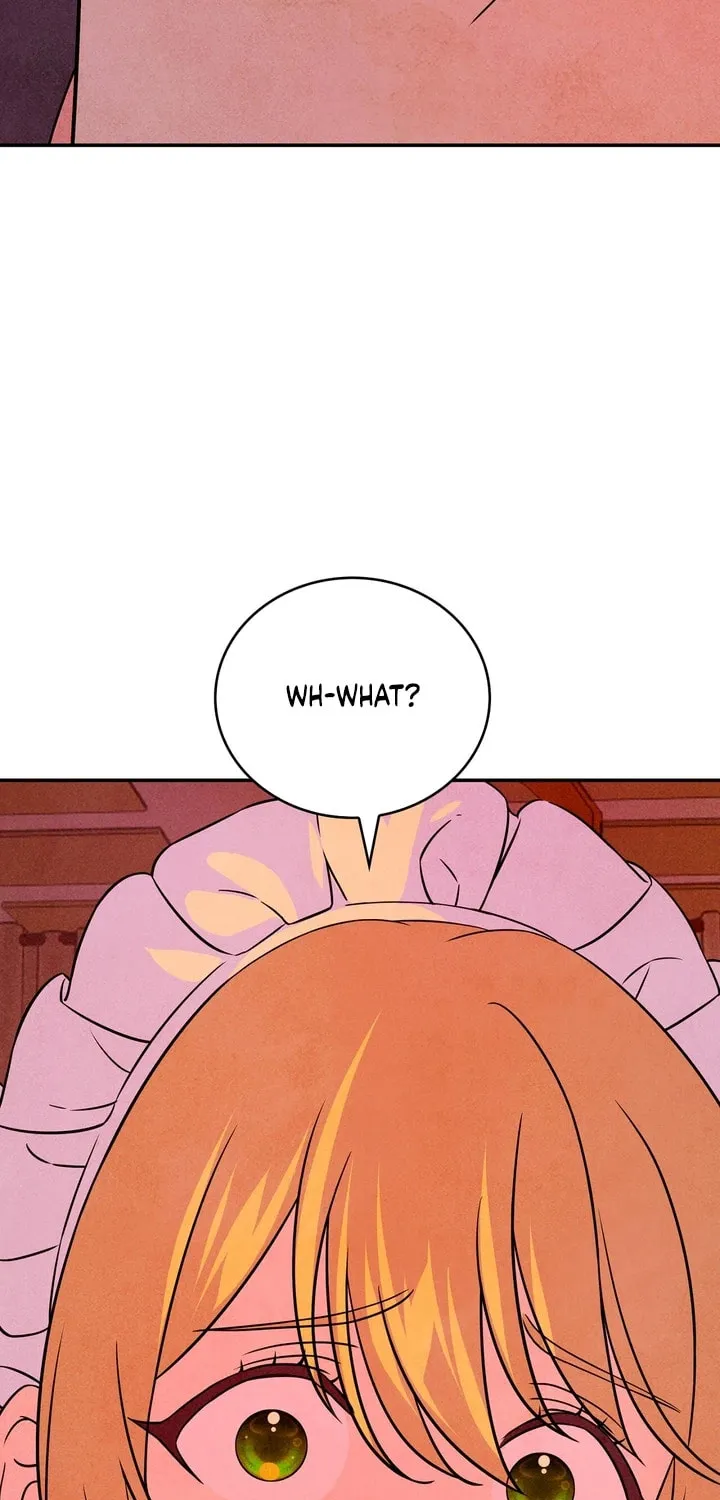 My Master Doesn