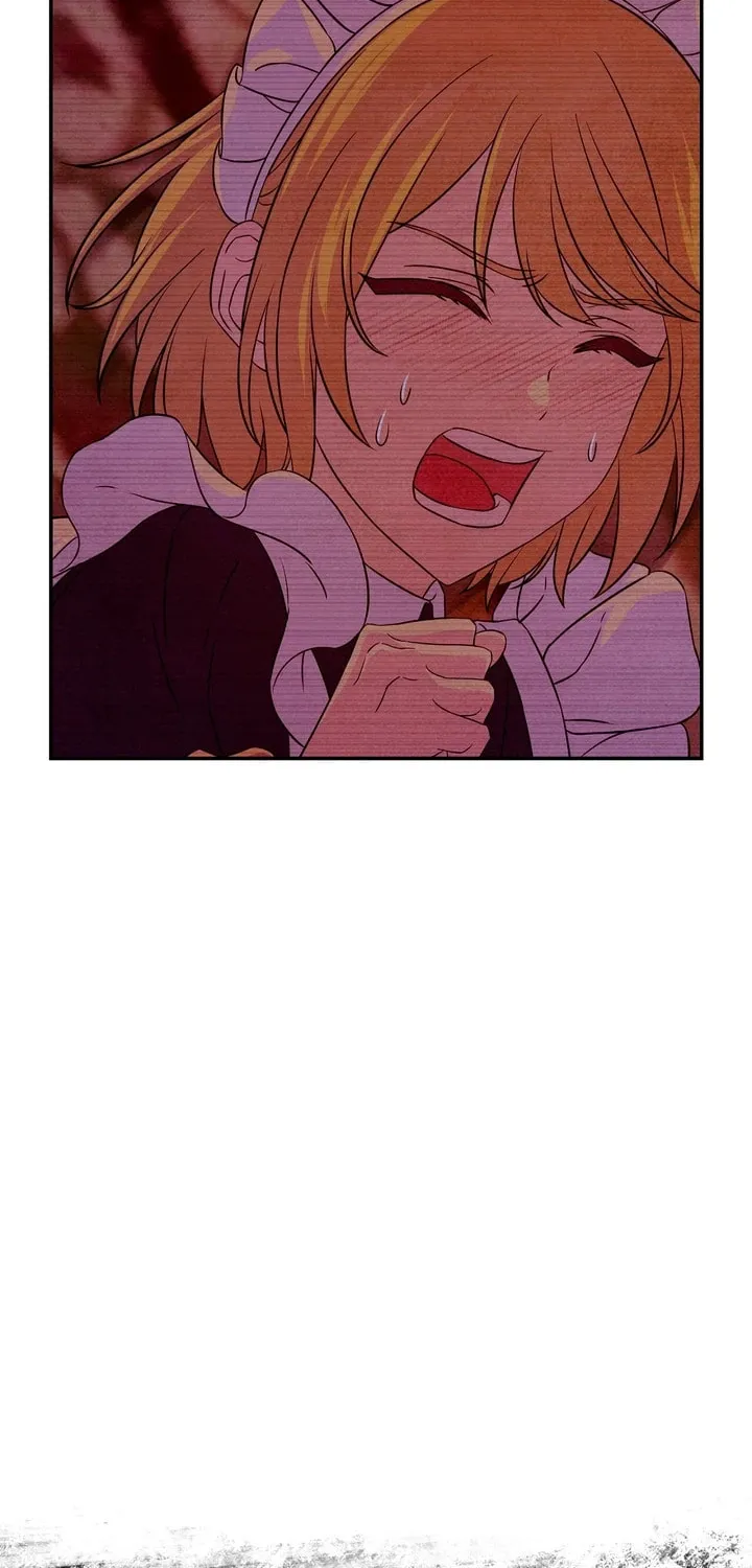 My Master Doesn