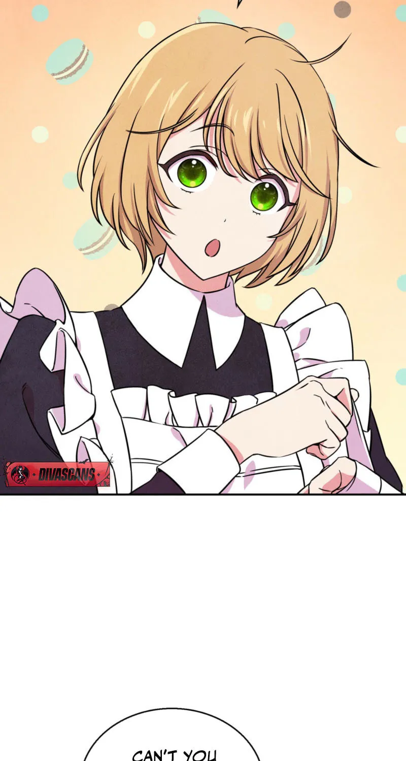 My Master Doesn