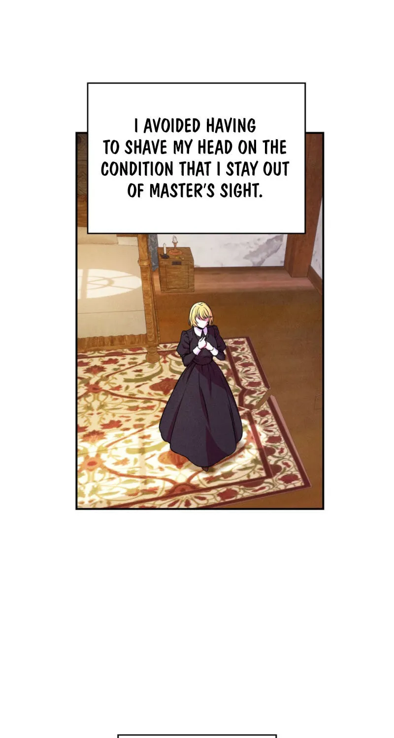 My Master Doesn