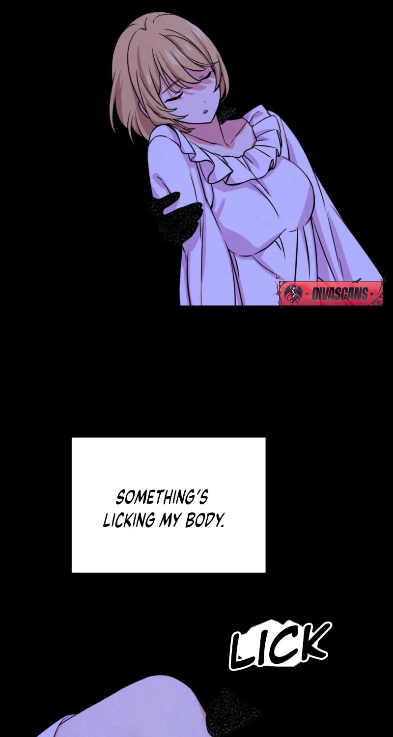 My Master Doesn