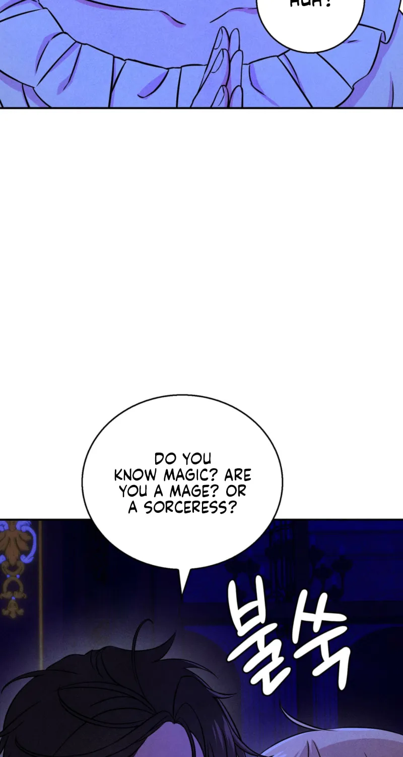 My Master Doesn