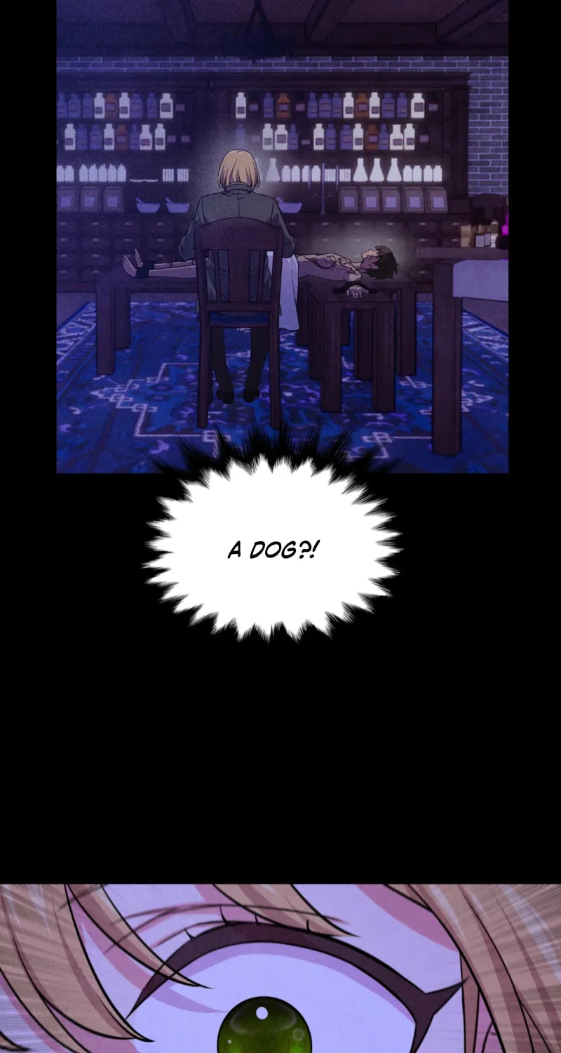 My Master Doesn