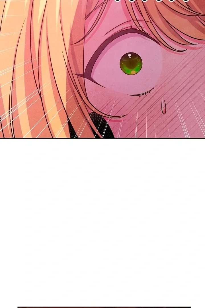 My Master Doesn