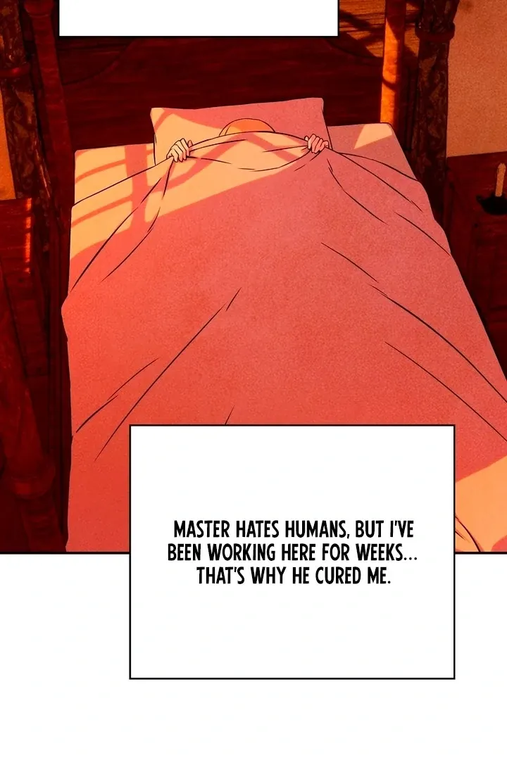 My Master Doesn