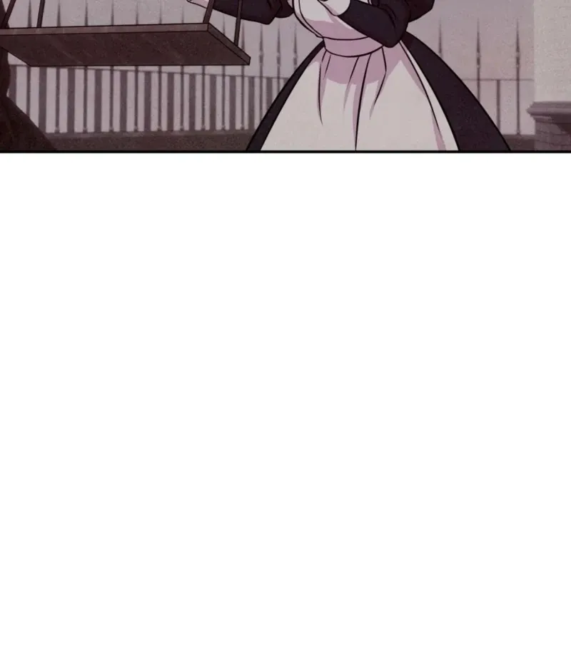 My Master Doesn