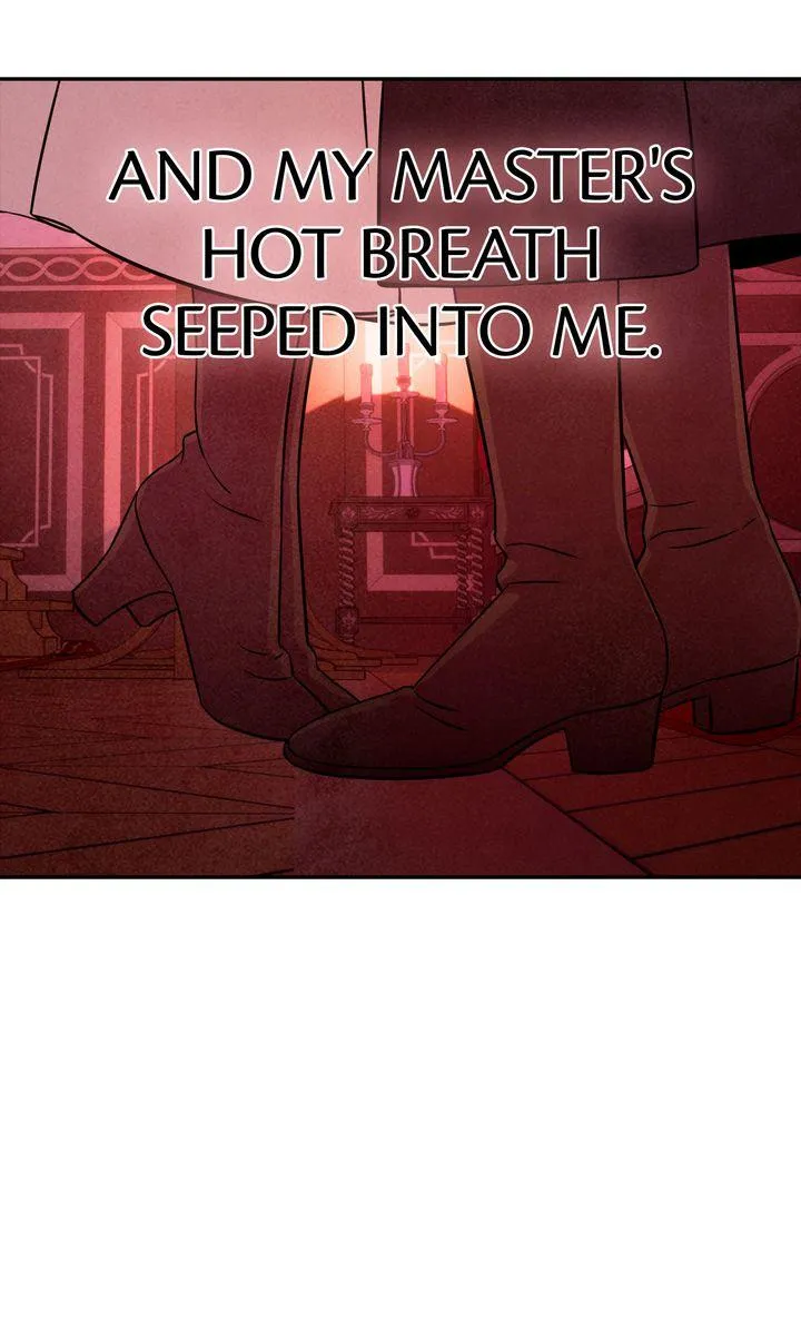 My Master Doesn