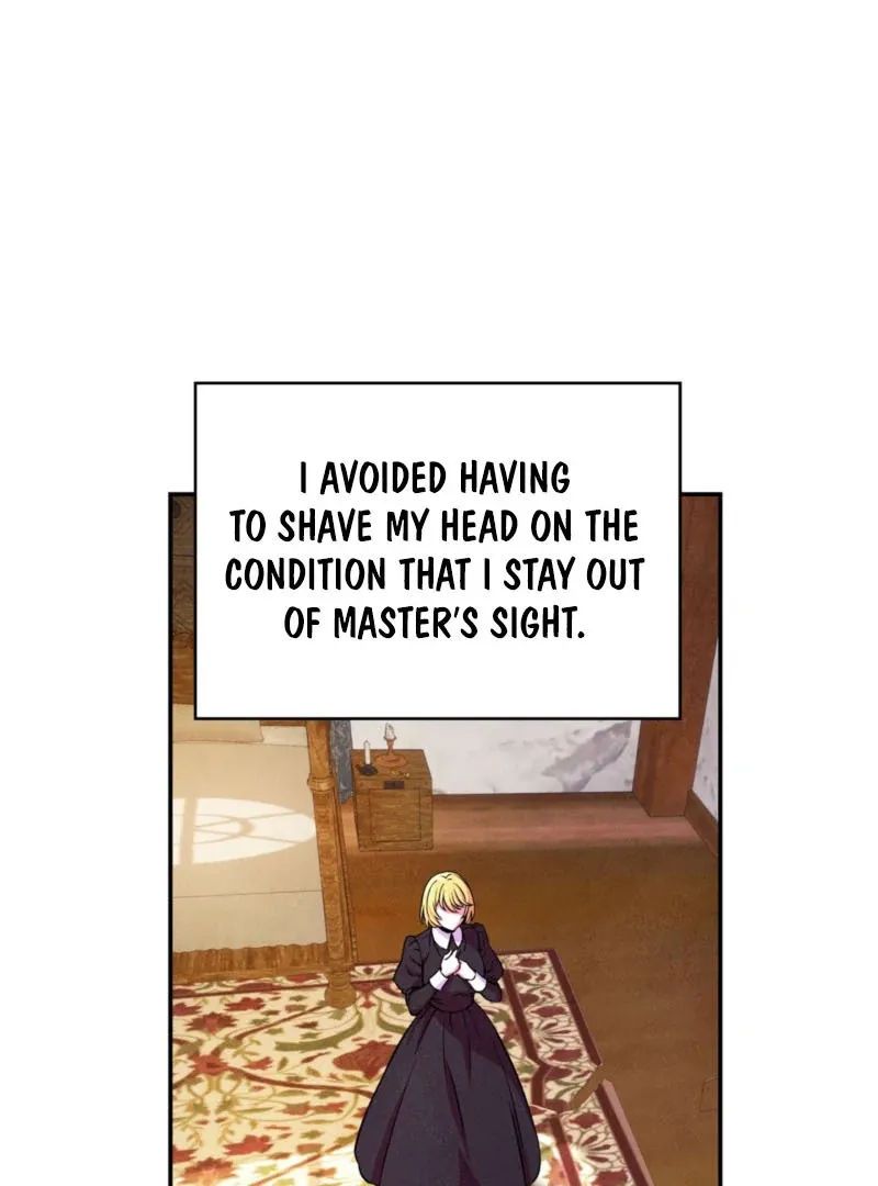 My Master Doesn