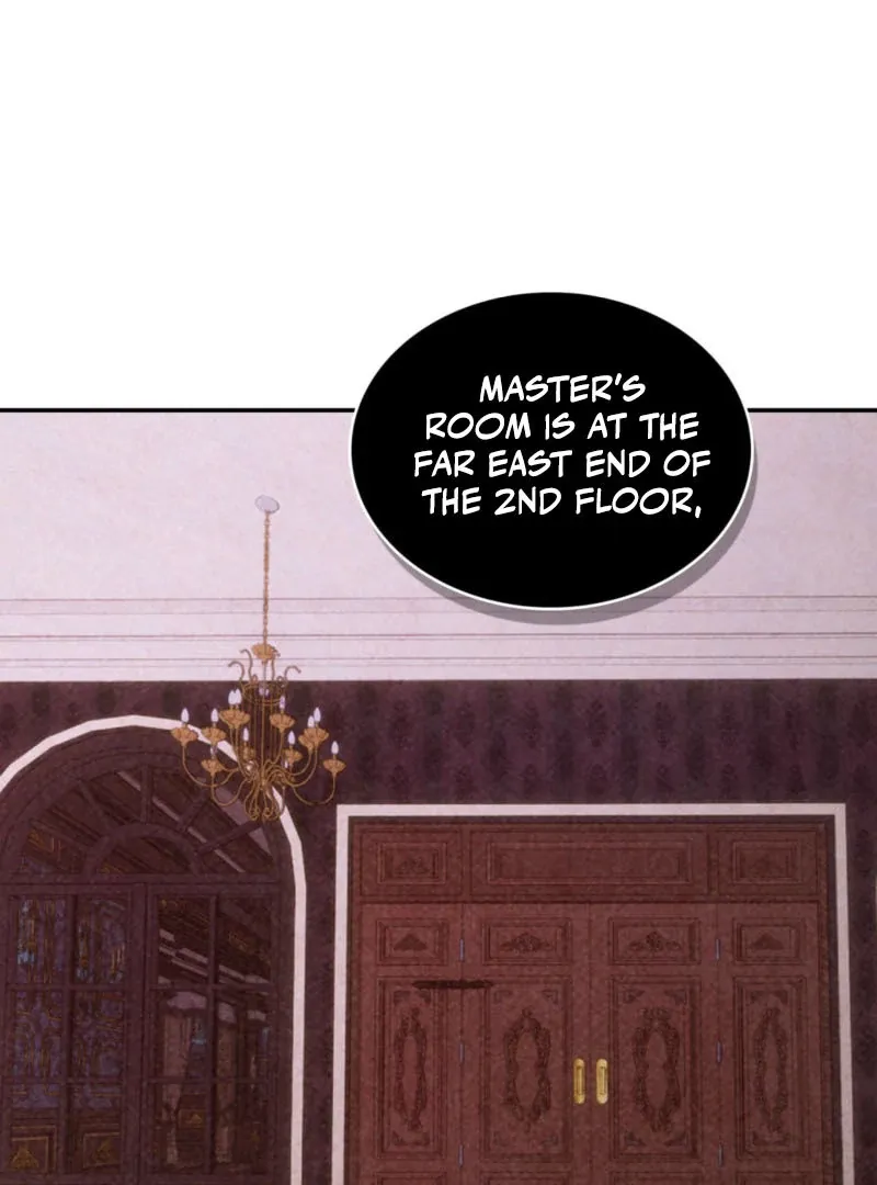 My Master Doesn