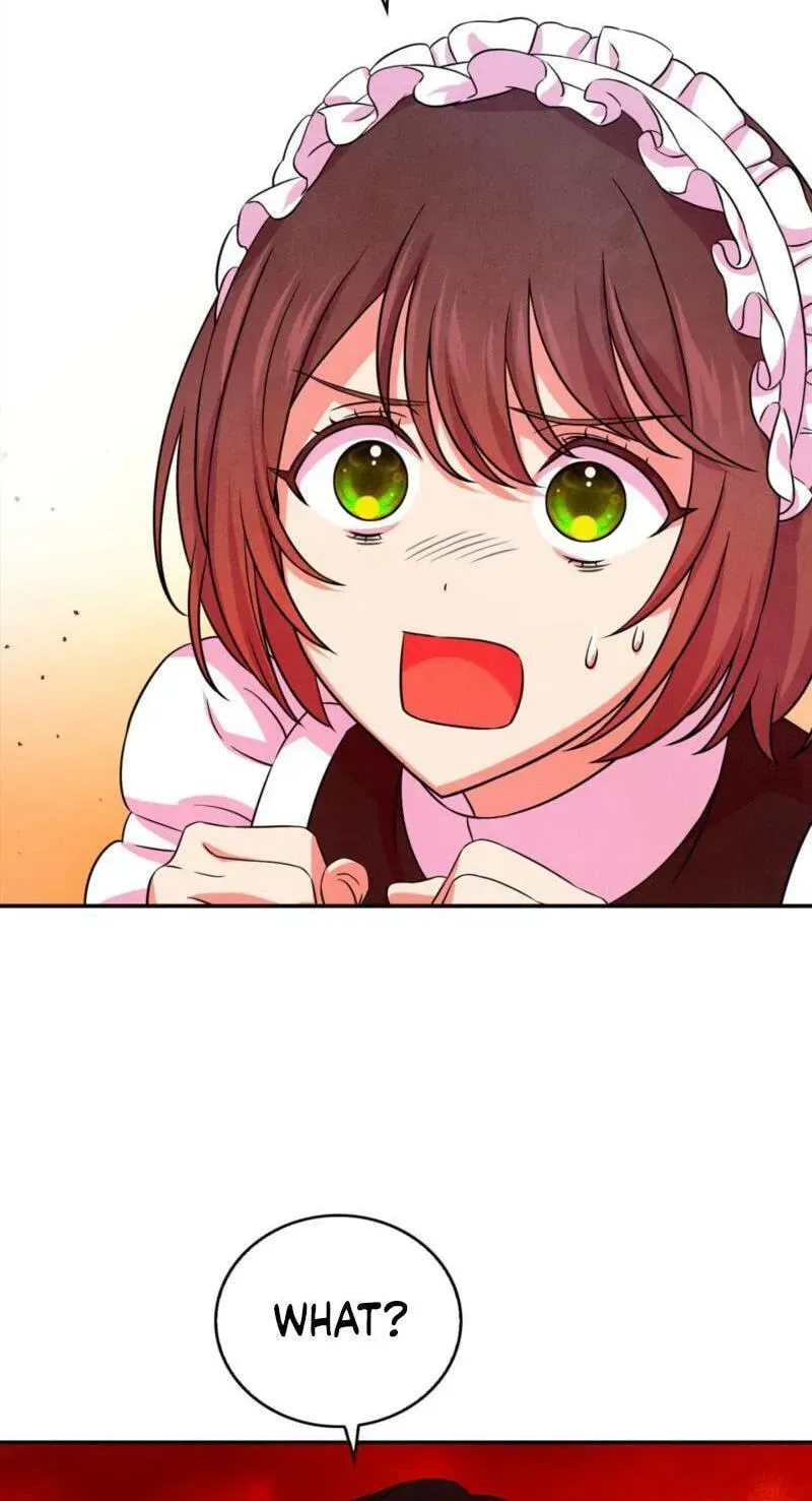 My Master Doesn