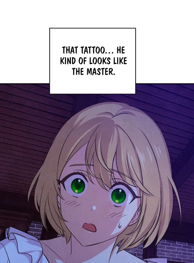 My Master Doesn