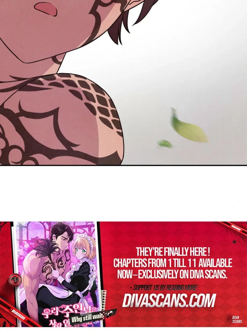 My Master Doesn