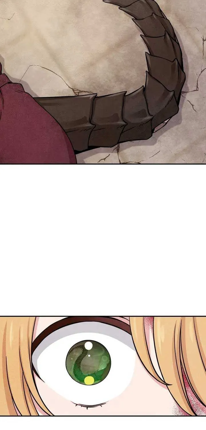 My Master Doesn’t Bite People Chapter 2 page 16 - 