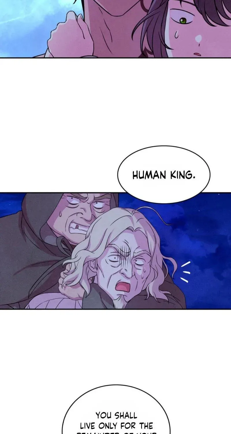My Master Doesn’t Bite People Chapter 45 page 46 - 