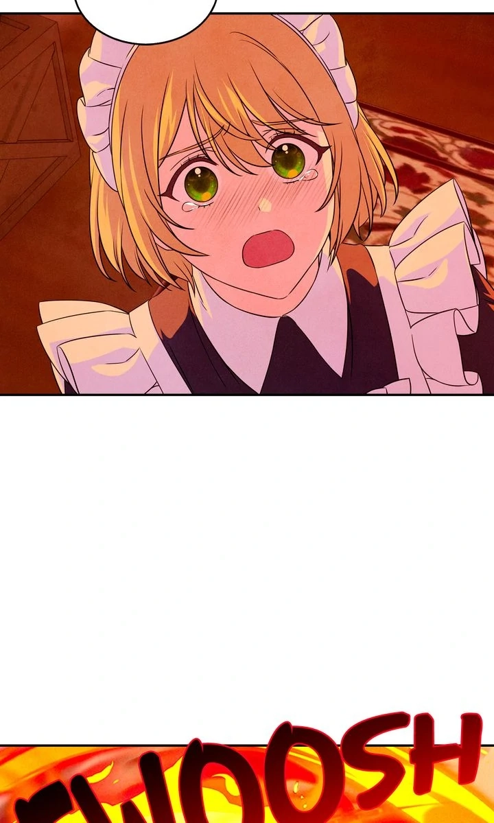 My Master Doesn