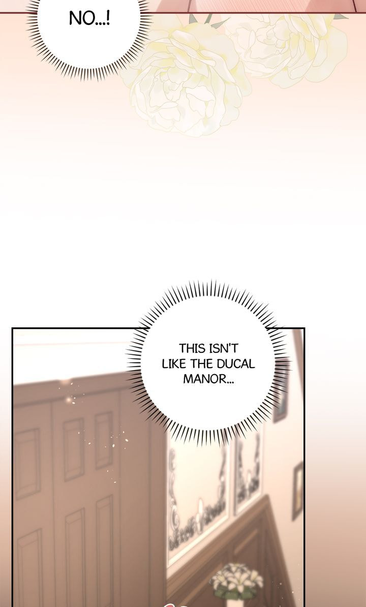 My Master Keeps Flipping the Script?! Chapter 12 page 47 - 