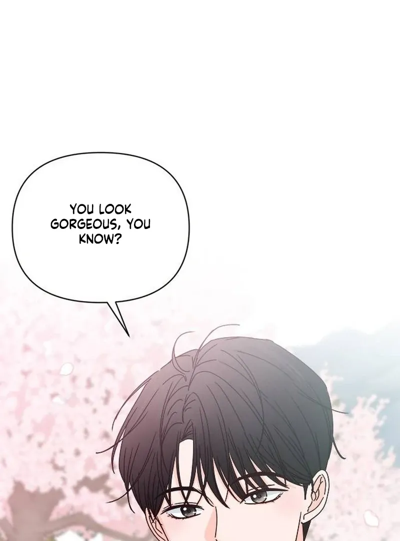 My Meddler in Love Chapter 1 page 11 - 