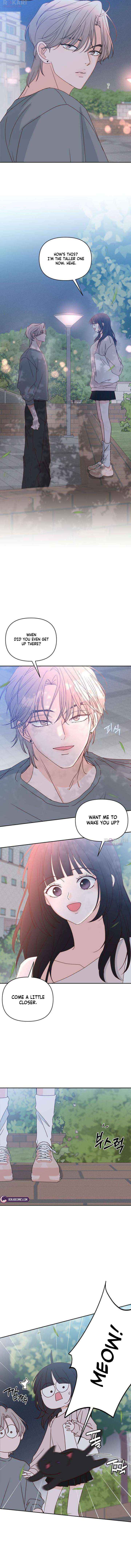 My Meddler in Love Chapter 17 page 10 - 
