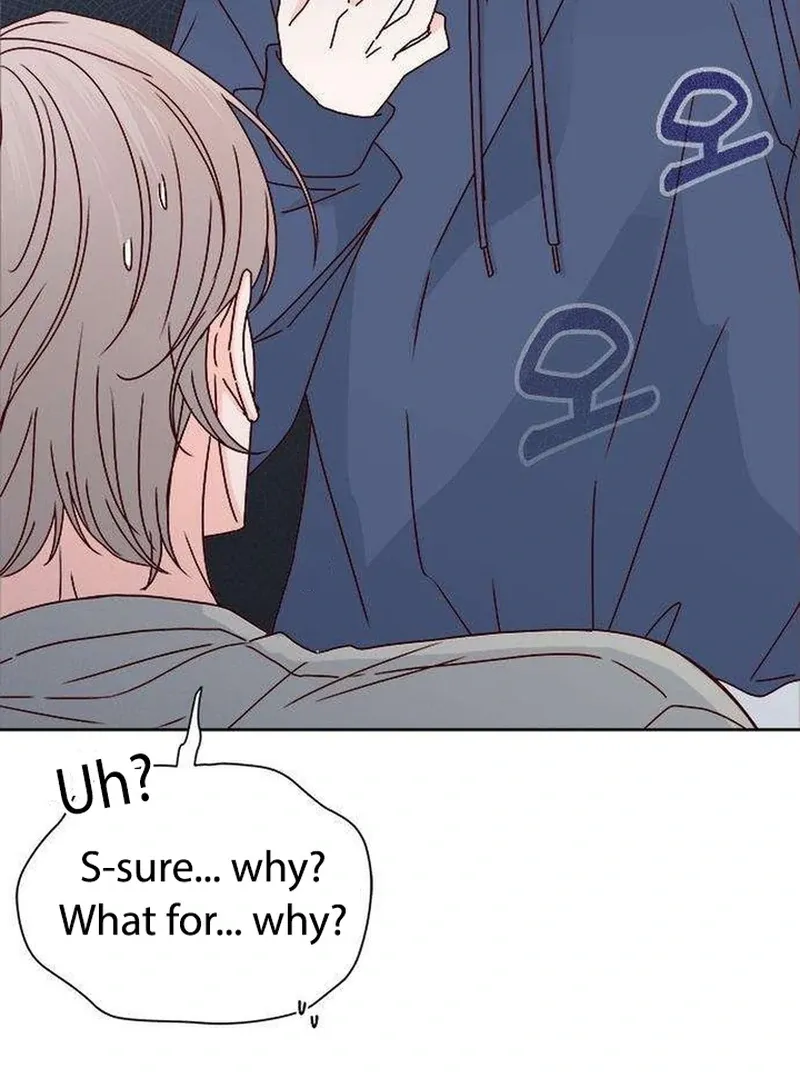 My Meddler in Love Chapter 5 page 85 - 