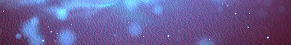 My Mom is my Constellation Chapter 93 page 46 - 