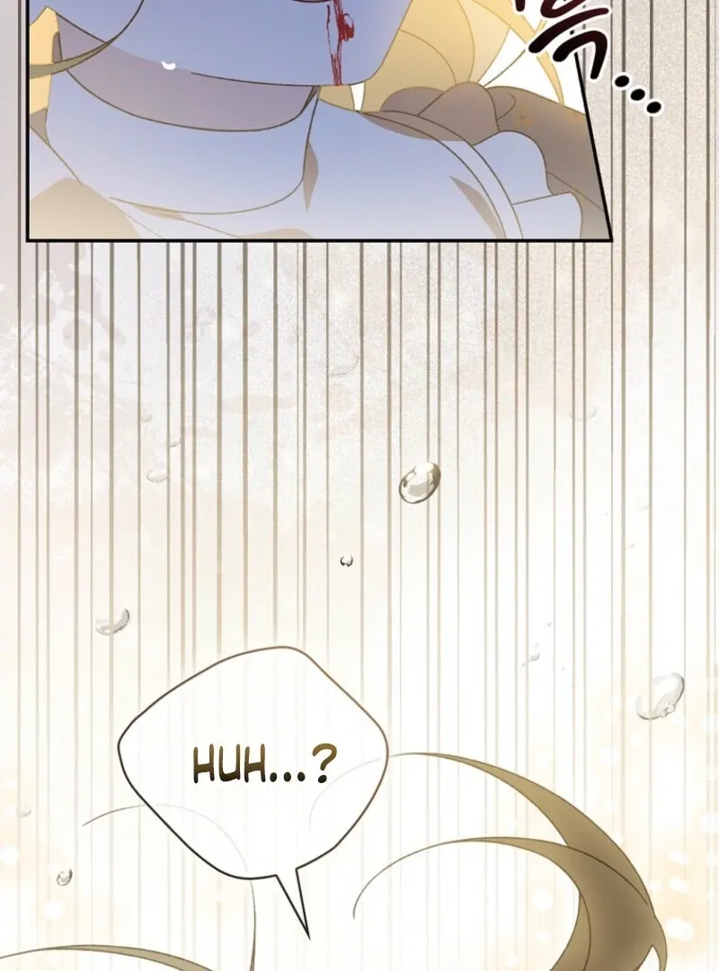 My Numbered Days of Happiness Chapter 46 page 97 - 