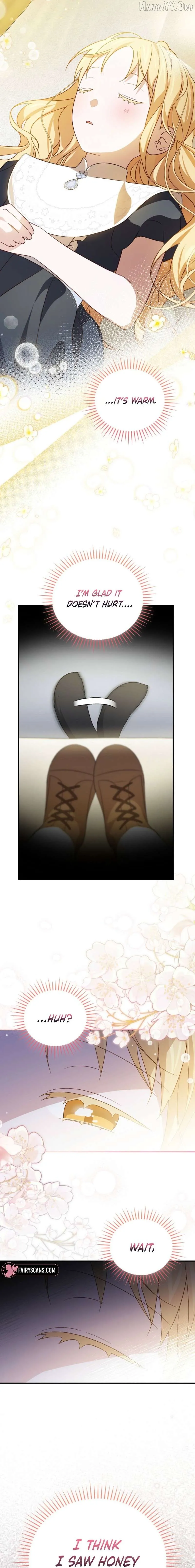 My Numbered Days of Happiness Chapter 51 page 19 - 