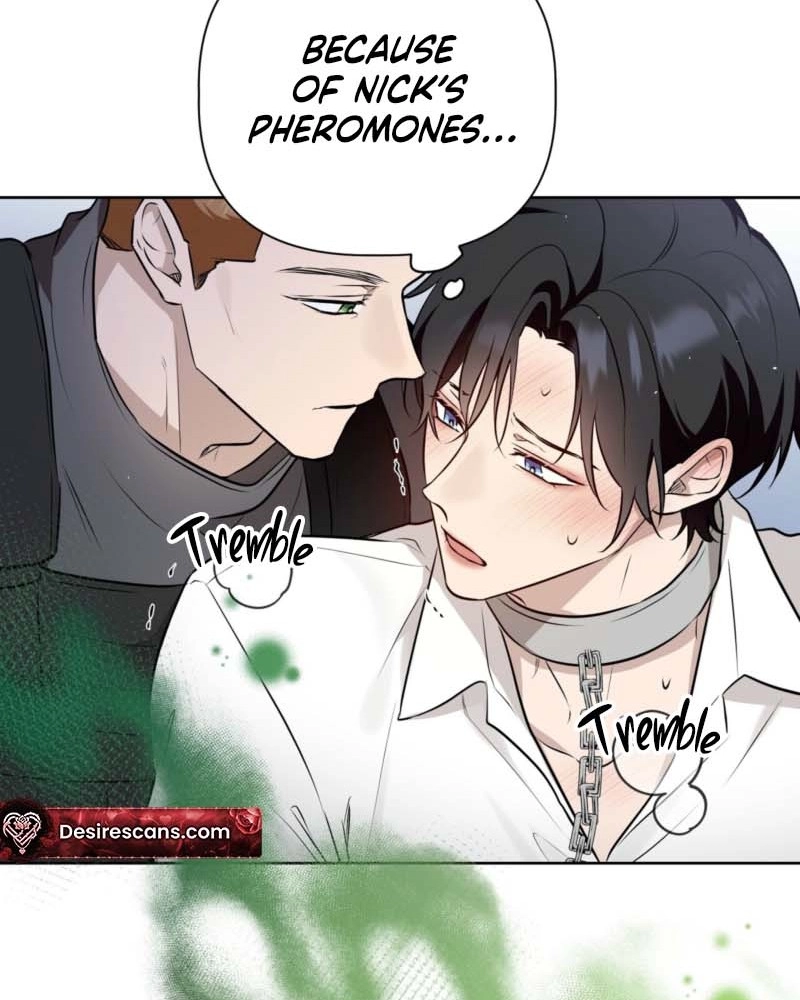 My Perfect Omega Chapter 56 page 51 - 