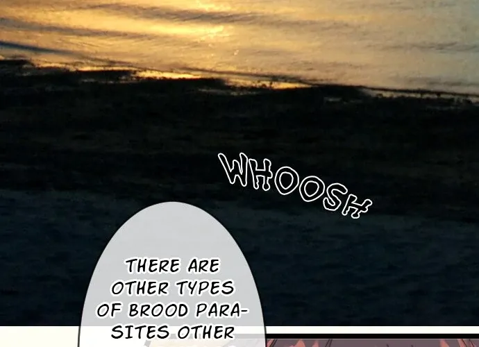My Perverted Stalker Chapter 190 page 33 - 