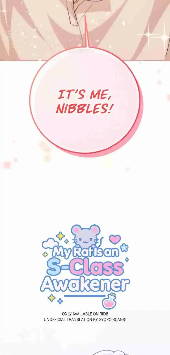My Pet Rat is an S-Class Awakener Chapter 0 page 19 - 
