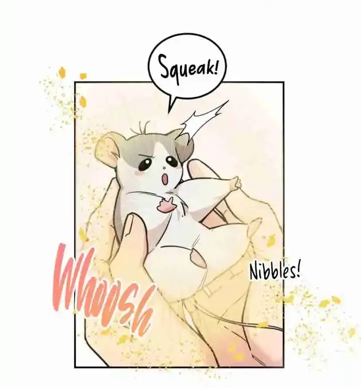 My Pet Rat is an S-Class Awakener Chapter 0 page 9 - 