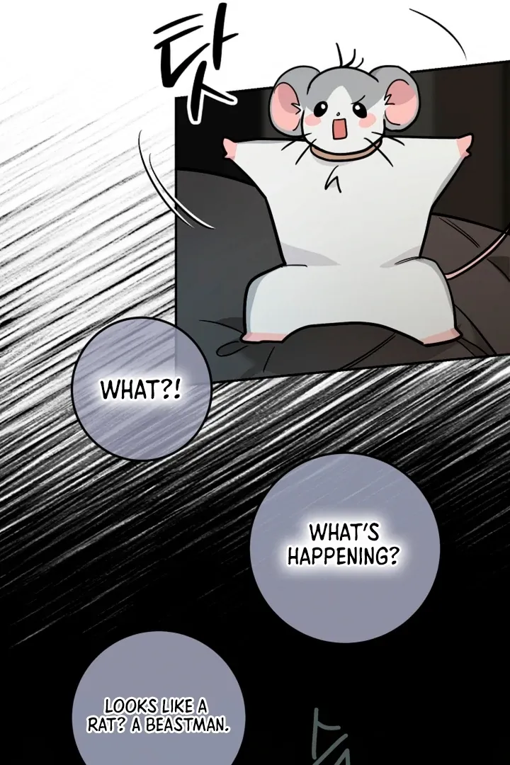 My Pet Rat is an S-Class Awakener Chapter 14 page 90 - 