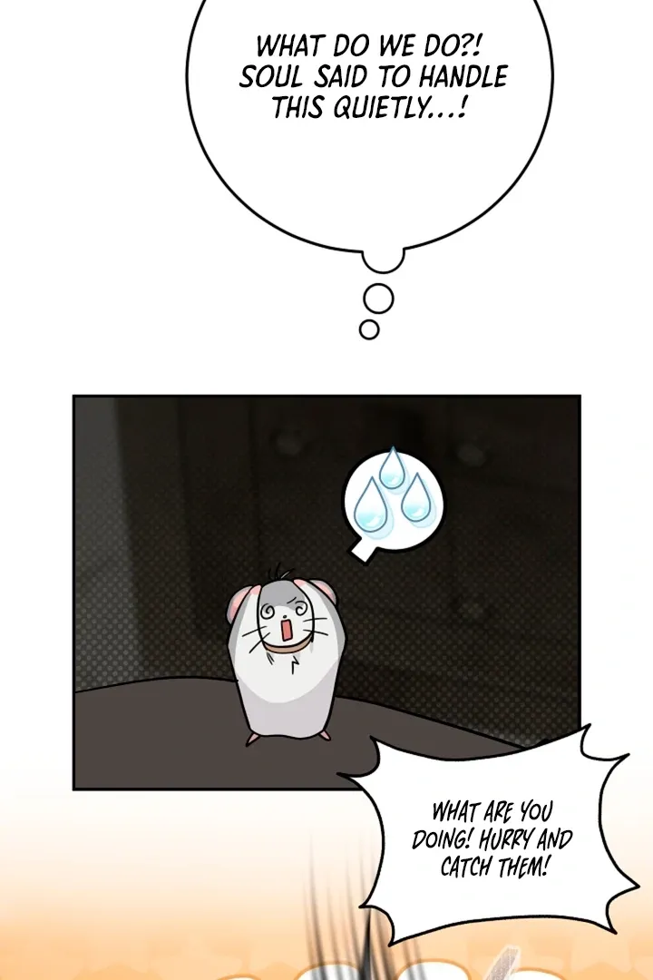 My Pet Rat is an S-Class Awakener Chapter 14 page 94 - 