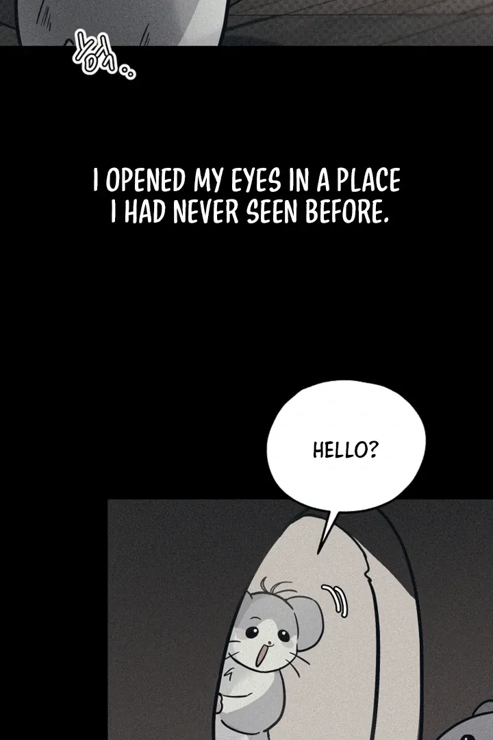 My Pet Rat is an S-Class Awakener Chapter 15 page 75 - 