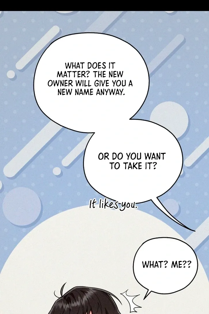 My Pet Rat is an S-Class Awakener Chapter 16 page 21 - 