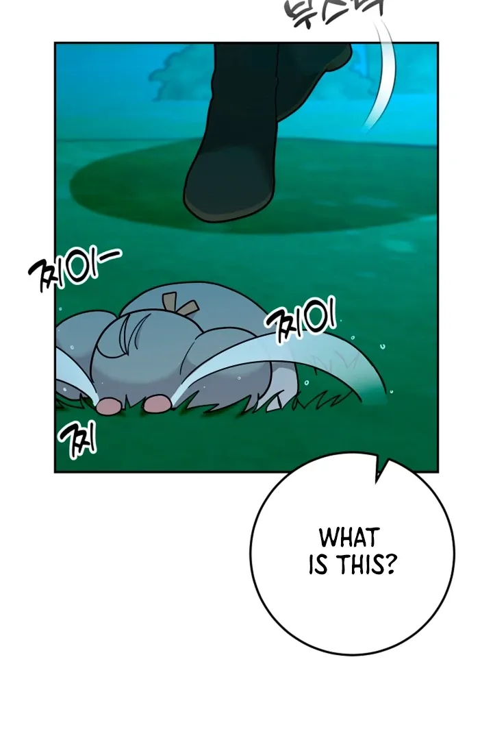 My Pet Rat is an S-Class Awakener Chapter 16 page 62 - 