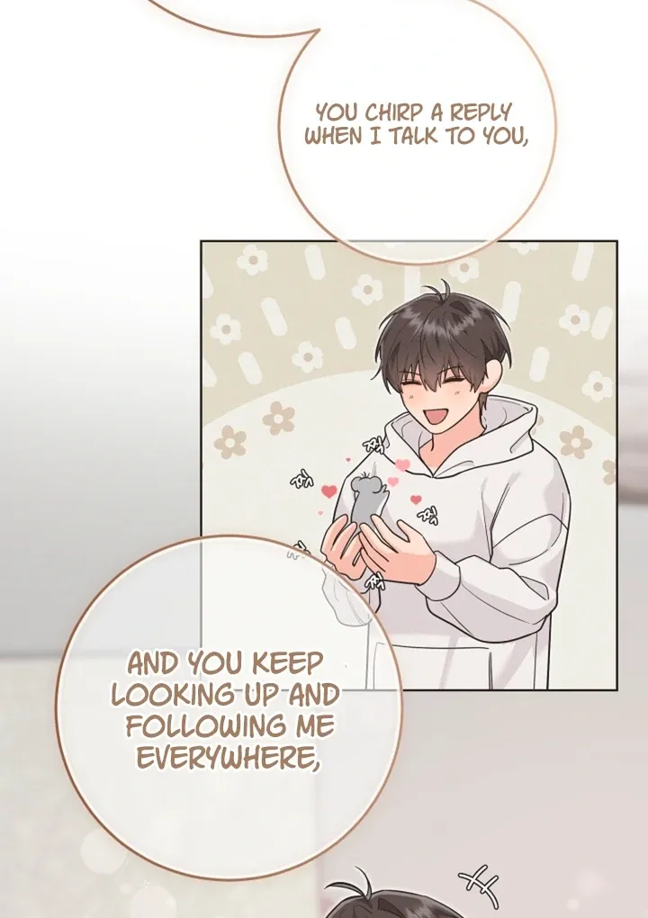 My Pet Rat is an S-Class Awakener Chapter 17 page 42 - 