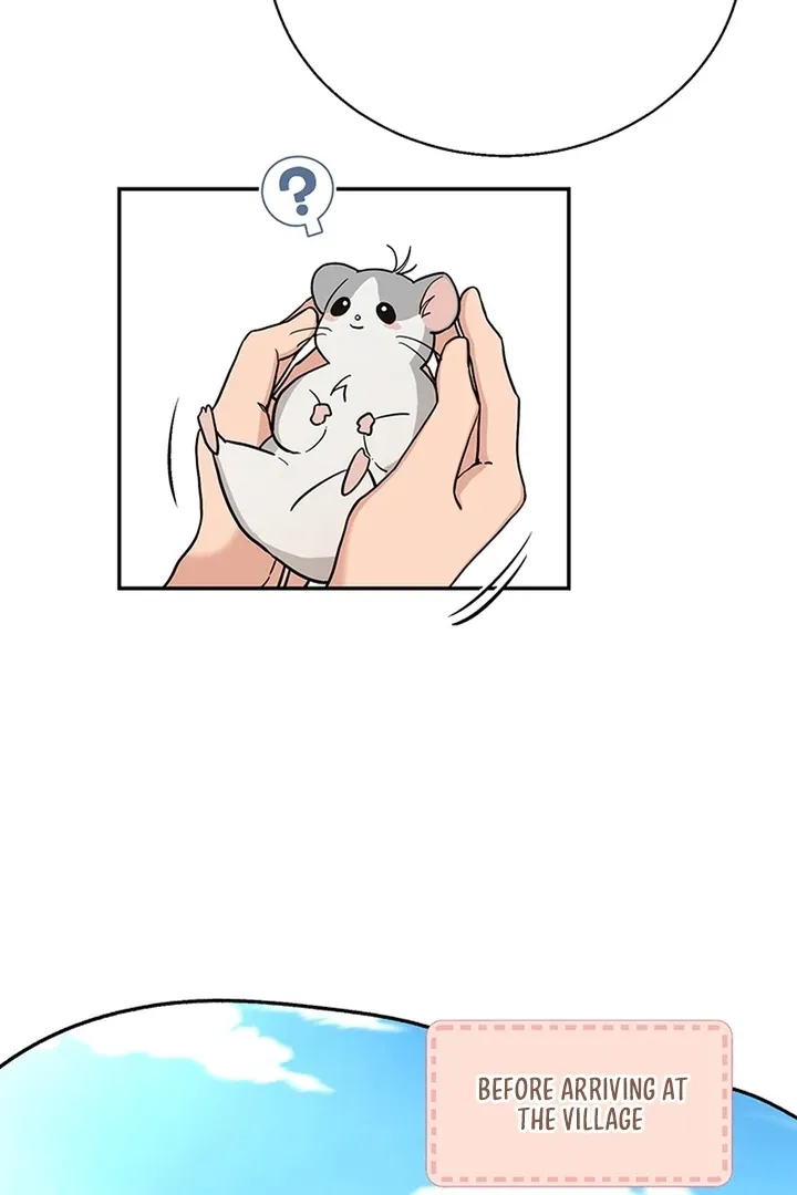 My Pet Rat is an S-Class Awakener Chapter 2 page 5 - 