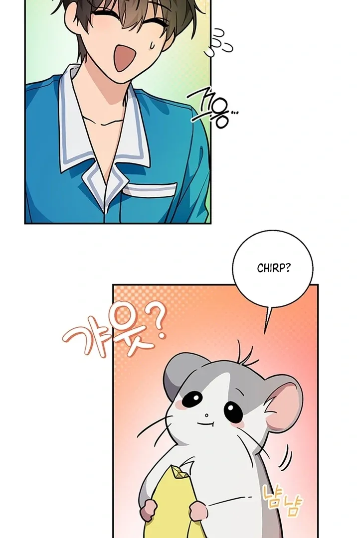 My Pet Rat is an S-Class Awakener Chapter 2 page 51 - 