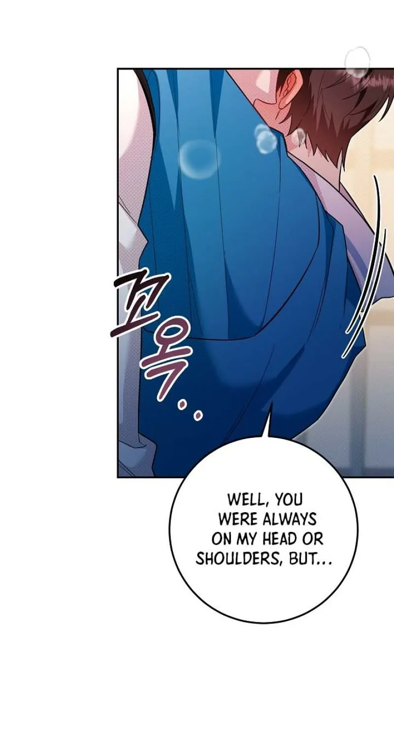 My Pet Rat is an S-Class Awakener Chapter 25 page 28 - 