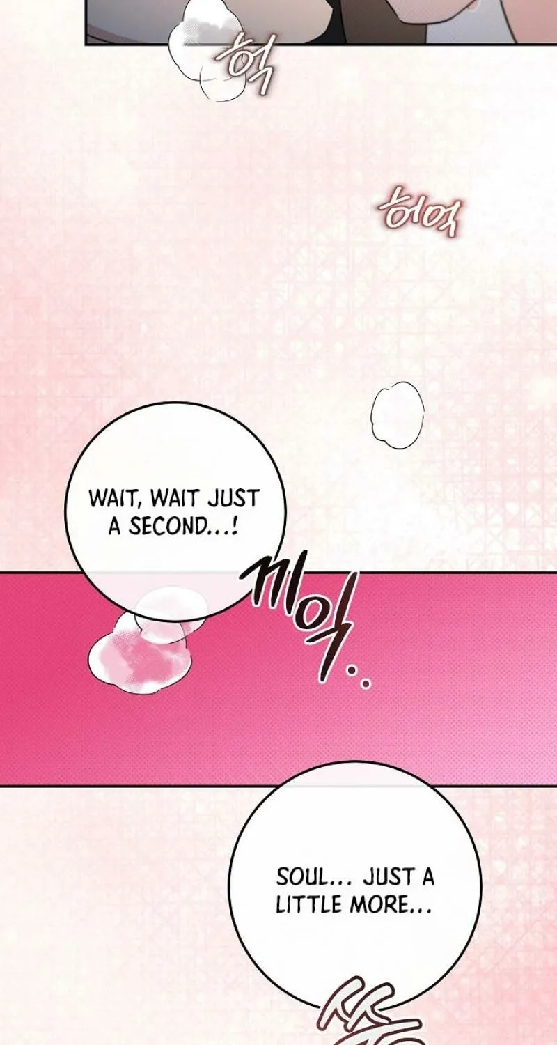 My Pet Rat is an S-Class Awakener Chapter 25 page 41 - 