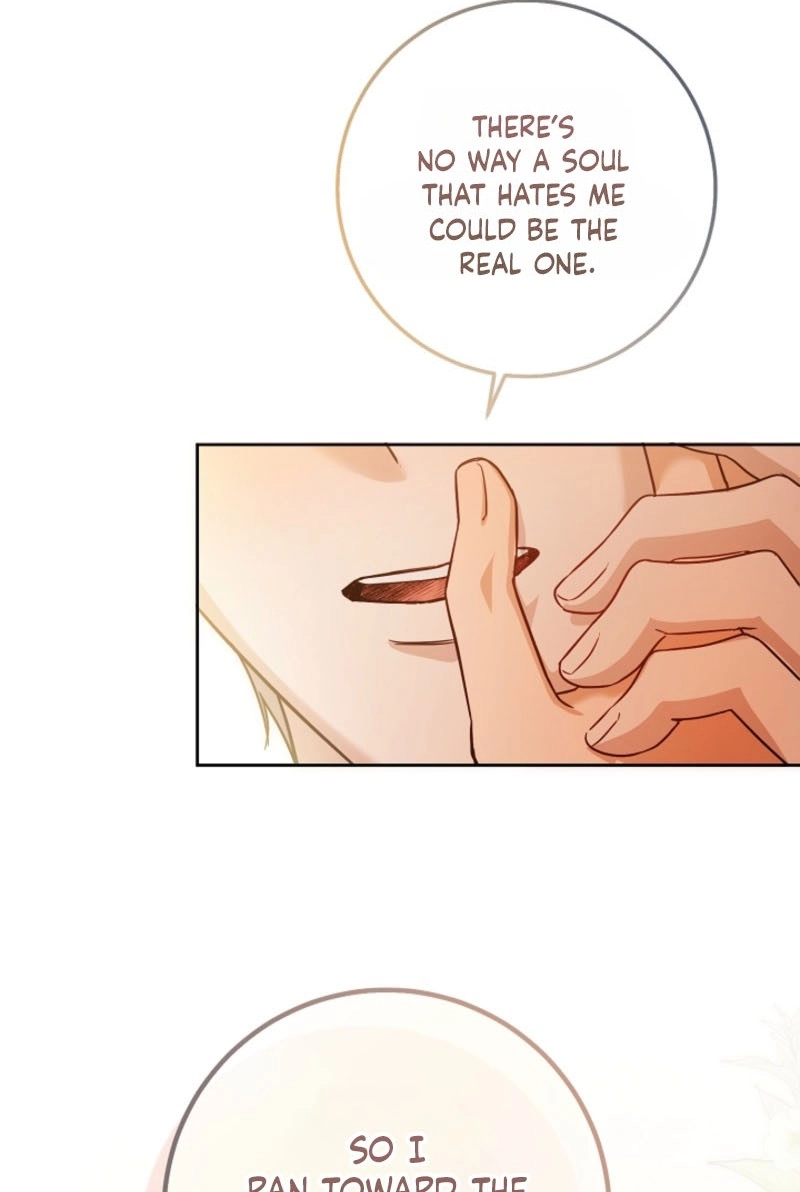 My Pet Rat is an S-Class Awakener Chapter 31 page 63 - 