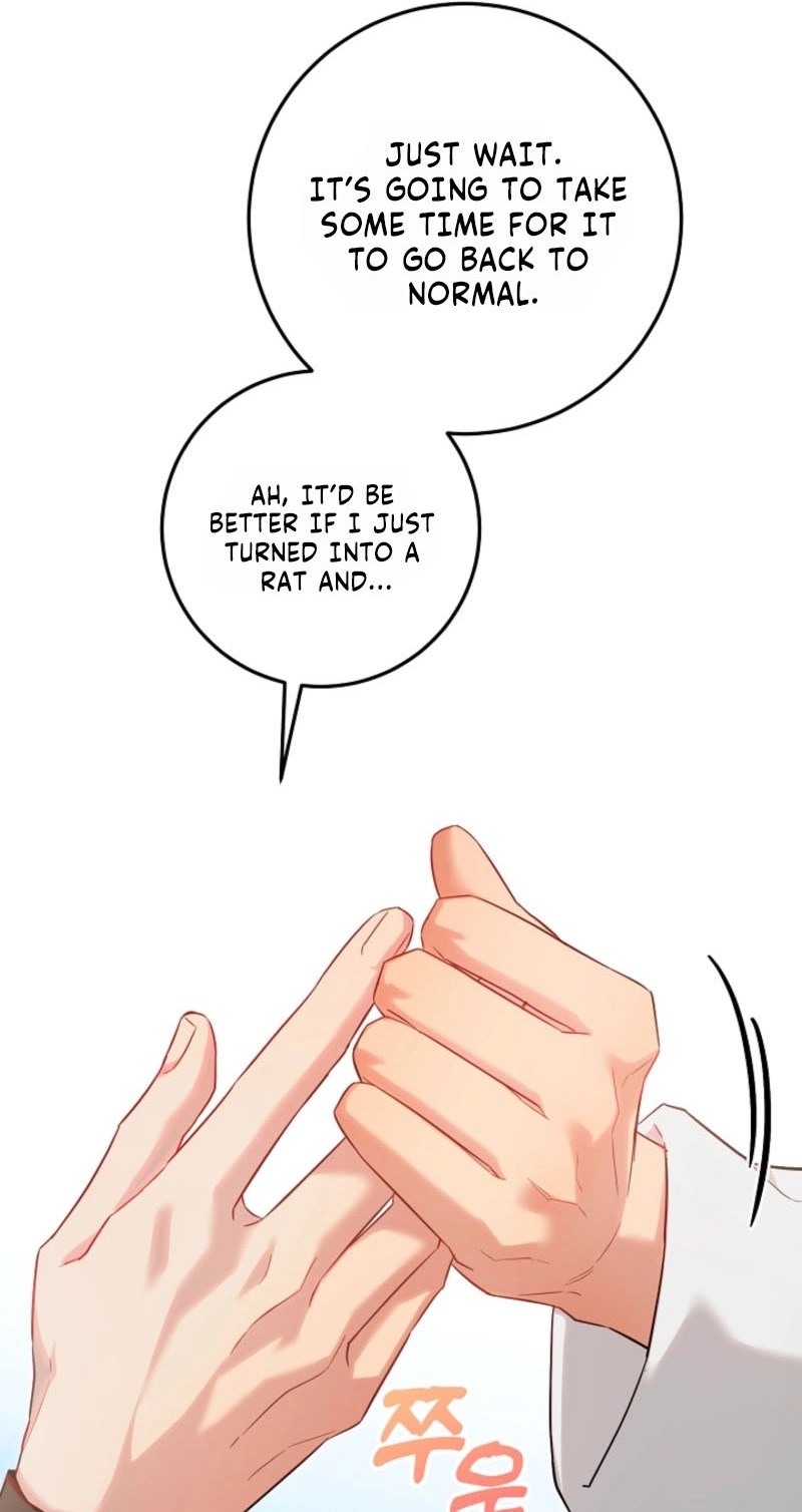 My Pet Rat is an S-Class Awakener Chapter 32 page 71 - 